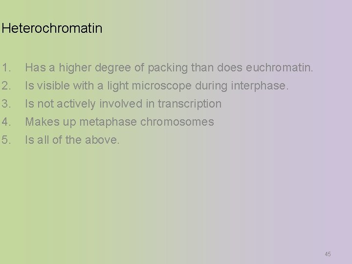 Heterochromatin 1. Has a higher degree of packing than does euchromatin. 2. Is visible