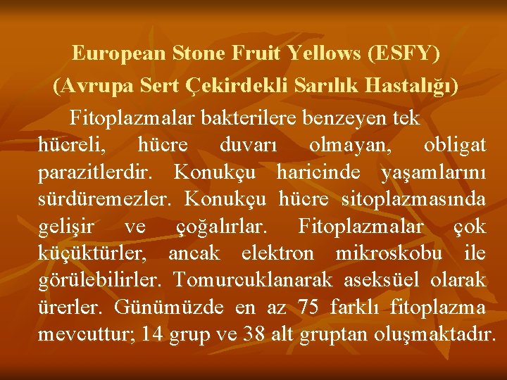 European Stone Fruit Yellows (ESFY) (Avrupa Sert Çekirdekli Sarılık Hastalığı) Fitoplazmalar bakterilere benzeyen tek