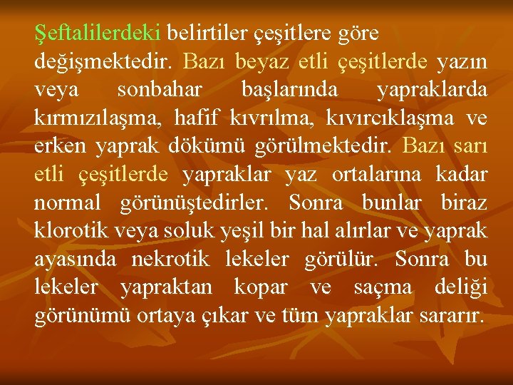 Şeftalilerdeki belirtiler çeşitlere göre değişmektedir. Bazı beyaz etli çeşitlerde yazın veya sonbahar başlarında yapraklarda