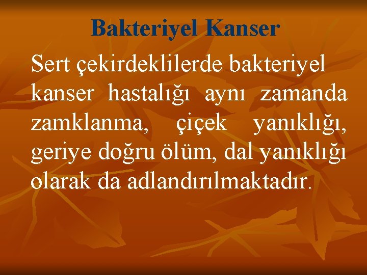 Bakteriyel Kanser Sert çekirdeklilerde bakteriyel kanser hastalığı aynı zamanda zamklanma, çiçek yanıklığı, geriye doğru