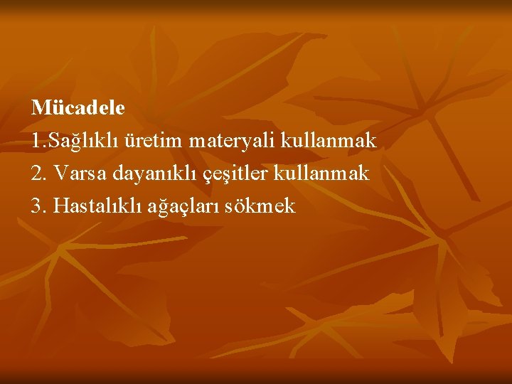 Mücadele 1. Sağlıklı üretim materyali kullanmak 2. Varsa dayanıklı çeşitler kullanmak 3. Hastalıklı ağaçları