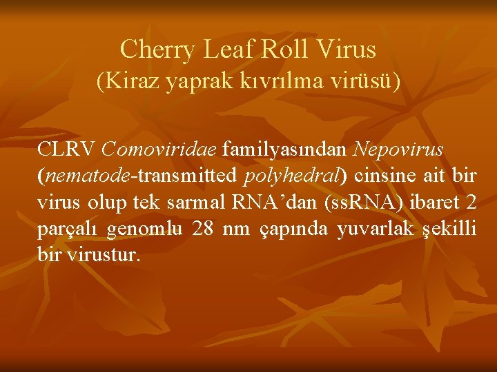 Cherry Leaf Roll Virus (Kiraz yaprak kıvrılma virüsü) CLRV Comoviridae familyasından Nepovirus (nematode-transmitted polyhedral)