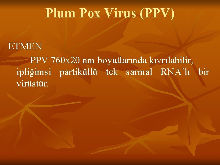 Plum Pox Virus (PPV) ETMEN PPV 760 x 20 nm boyutlarında kıvrılabilir, ipliğimsi partiküllü