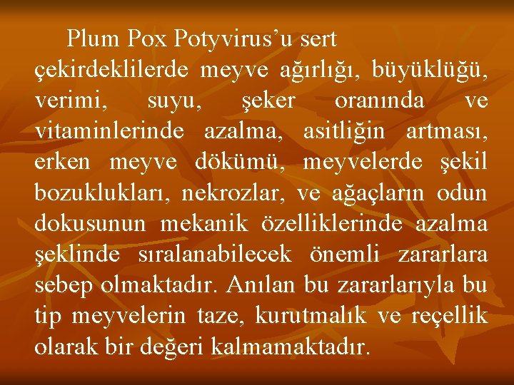 Plum Pox Potyvirus’u sert çekirdeklilerde meyve ağırlığı, büyüklüğü, verimi, suyu, şeker oranında ve vitaminlerinde