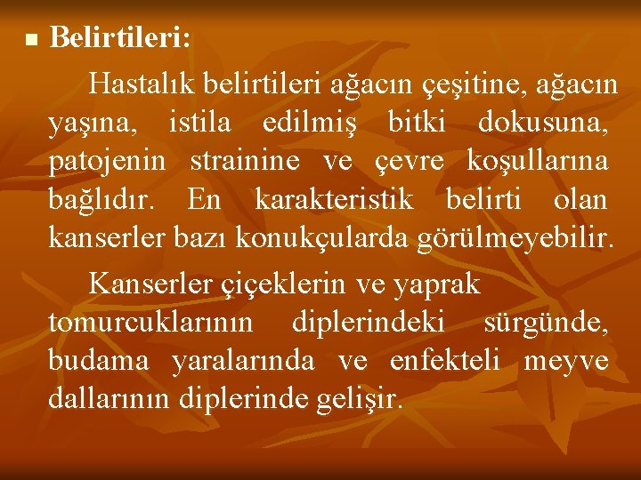 n Belirtileri: Hastalık belirtileri ağacın çeşitine, ağacın yaşına, istila edilmiş bitki dokusuna, patojenin strainine