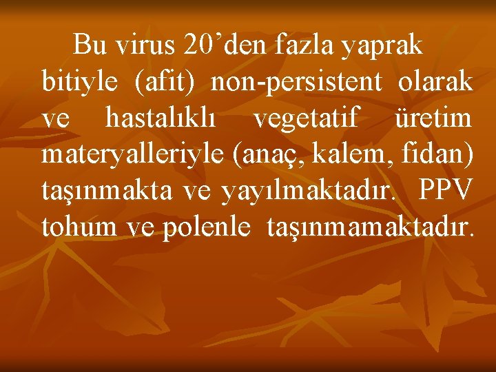 Bu virus 20’den fazla yaprak bitiyle (afit) non-persistent olarak ve hastalıklı vegetatif üretim materyalleriyle