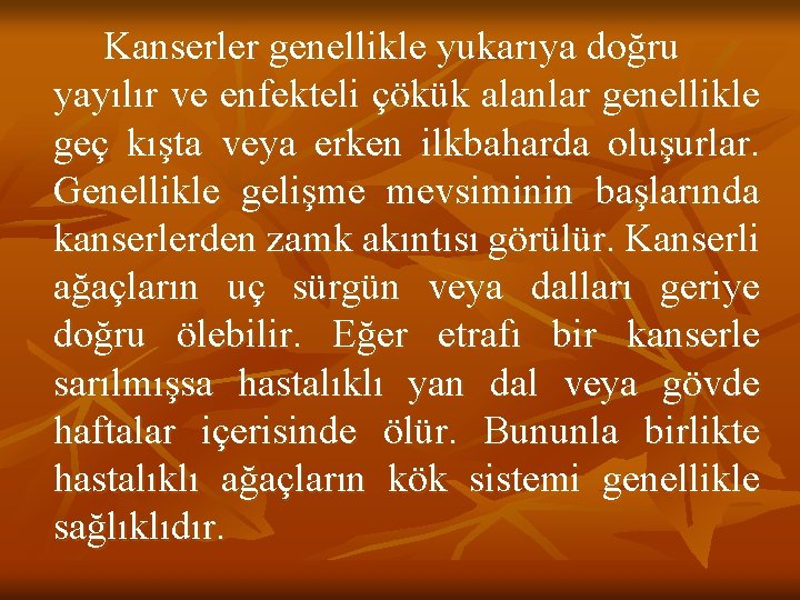 Kanserler genellikle yukarıya doğru yayılır ve enfekteli çökük alanlar genellikle geç kışta veya erken