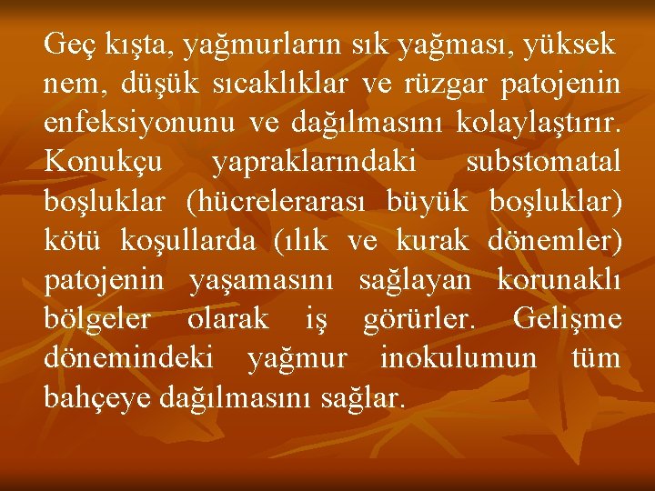 Geç kışta, yağmurların sık yağması, yüksek nem, düşük sıcaklıklar ve rüzgar patojenin enfeksiyonunu ve