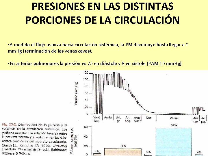 PRESIONES EN LAS DISTINTAS PORCIONES DE LA CIRCULACIÓN • A medida el flujo avanza PRESIONES EN LAS DISTINTAS PORCIONES DE LA CIRCULACIÓN • A medida el flujo avanza