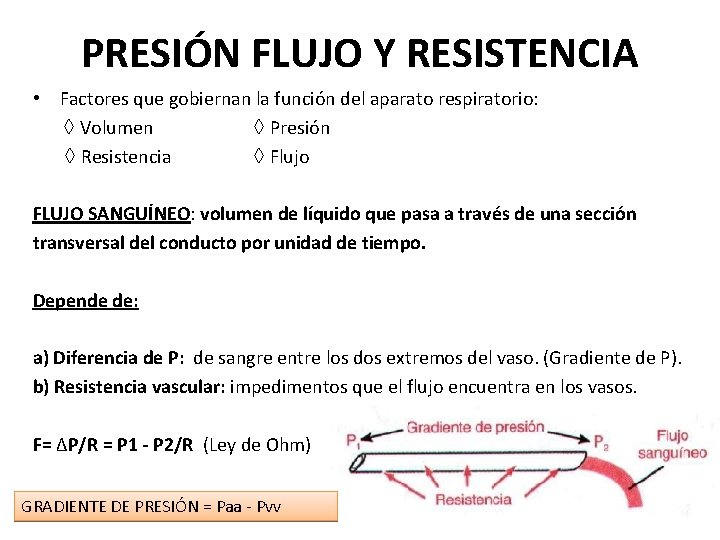 PRESIÓN FLUJO Y RESISTENCIA • Factores que gobiernan la función del aparato respiratorio: ◊