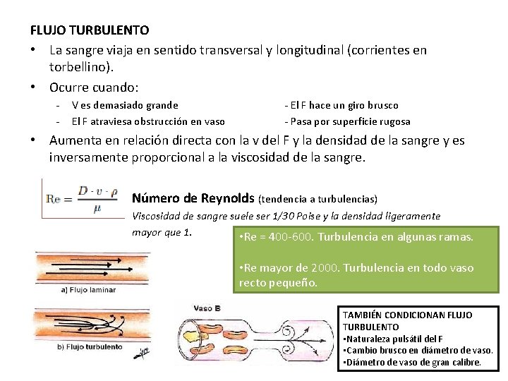 FLUJO TURBULENTO • La sangre viaja en sentido transversal y longitudinal (corrientes en torbellino). FLUJO TURBULENTO • La sangre viaja en sentido transversal y longitudinal (corrientes en torbellino).