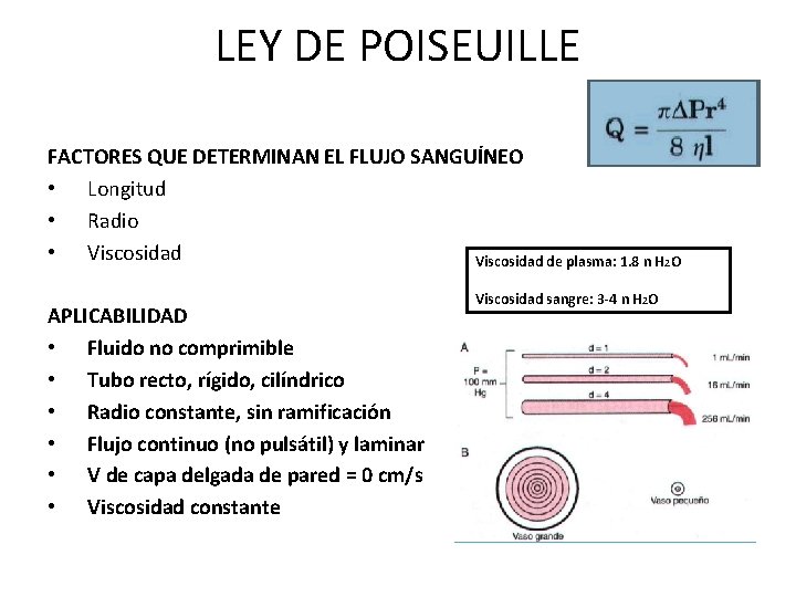 LEY DE POISEUILLE FACTORES QUE DETERMINAN EL FLUJO SANGUÍNEO • Longitud • Radio •