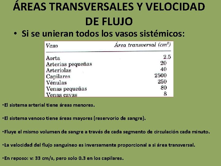 ÁREAS TRANSVERSALES Y VELOCIDAD DE FLUJO • Si se unieran todos los vasos sistémicos: ÁREAS TRANSVERSALES Y VELOCIDAD DE FLUJO • Si se unieran todos los vasos sistémicos: