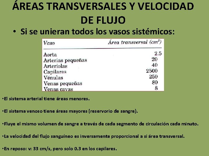 ÁREAS TRANSVERSALES Y VELOCIDAD DE FLUJO • Si se unieran todos los vasos sistémicos: