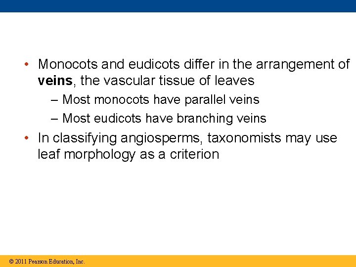  • Monocots and eudicots differ in the arrangement of veins, the vascular tissue