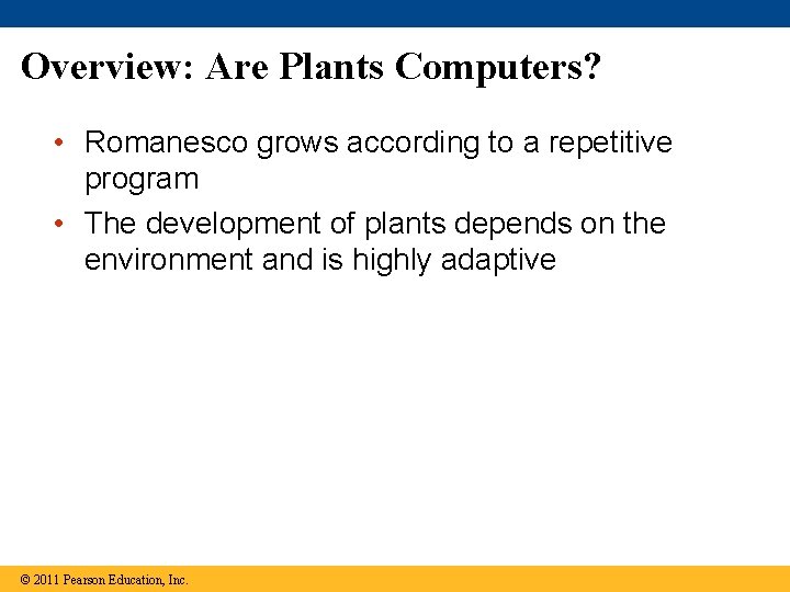 Overview: Are Plants Computers? • Romanesco grows according to a repetitive program • The