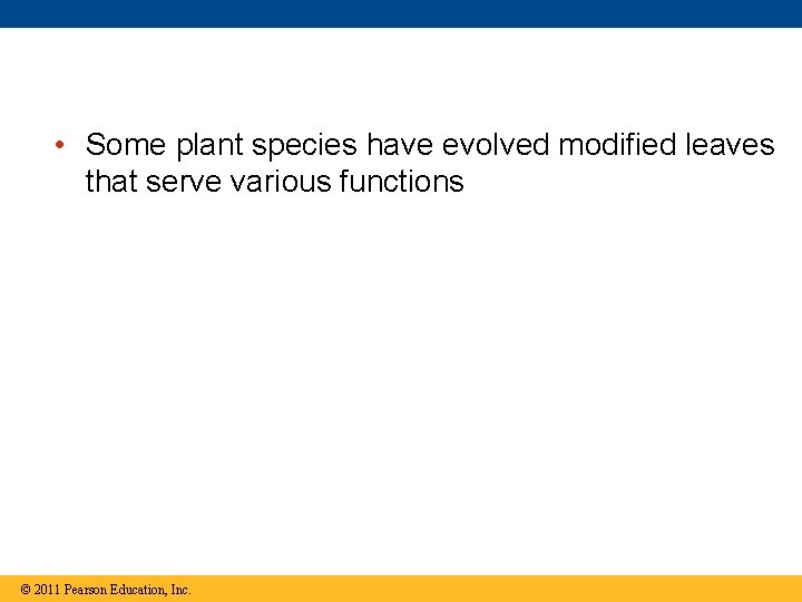  • Some plant species have evolved modified leaves that serve various functions ©