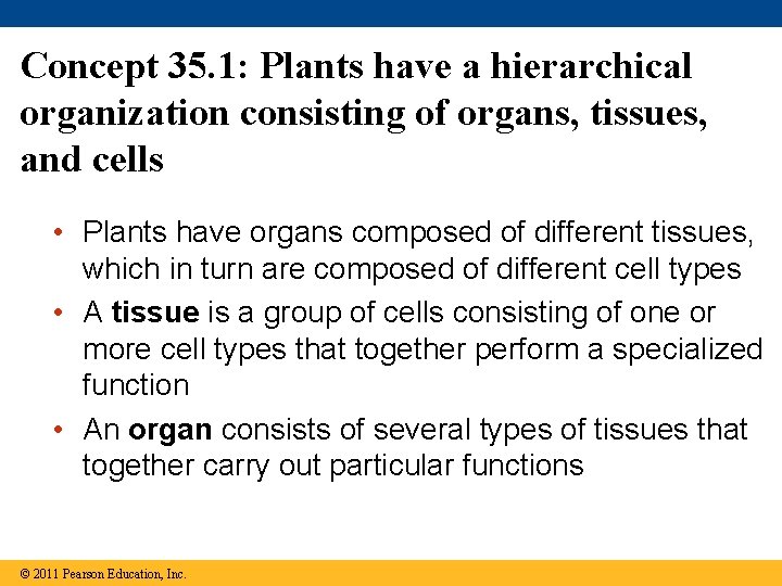 Concept 35. 1: Plants have a hierarchical organization consisting of organs, tissues, and cells
