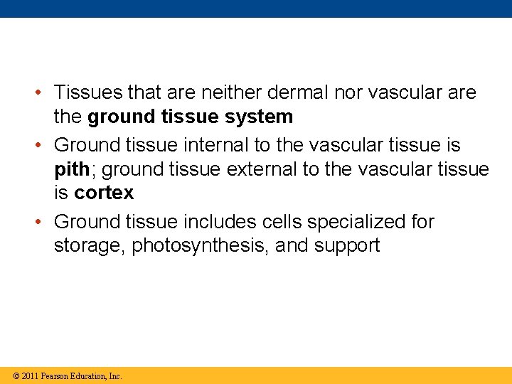  • Tissues that are neither dermal nor vascular are the ground tissue system