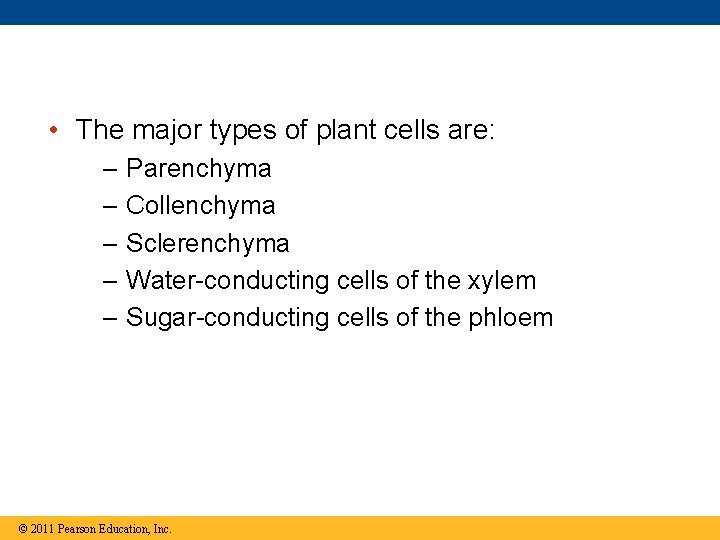  • The major types of plant cells are: – – – Parenchyma Collenchyma