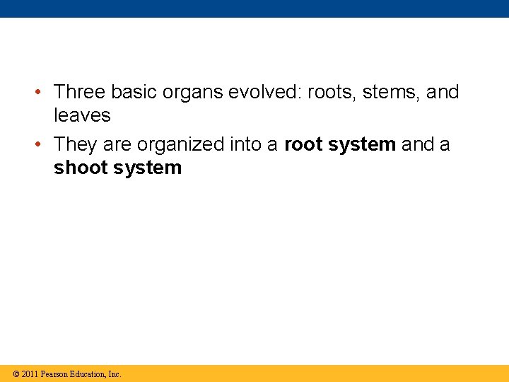  • Three basic organs evolved: roots, stems, and leaves • They are organized