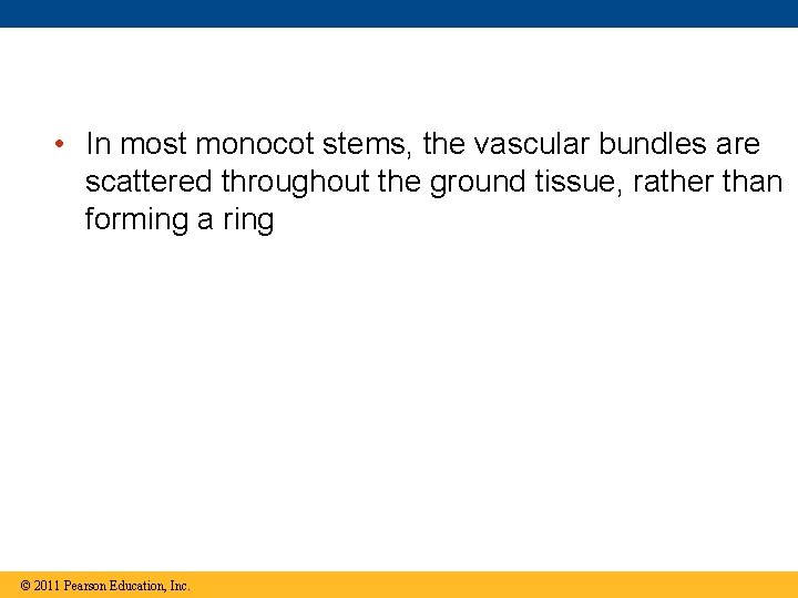  • In most monocot stems, the vascular bundles are scattered throughout the ground