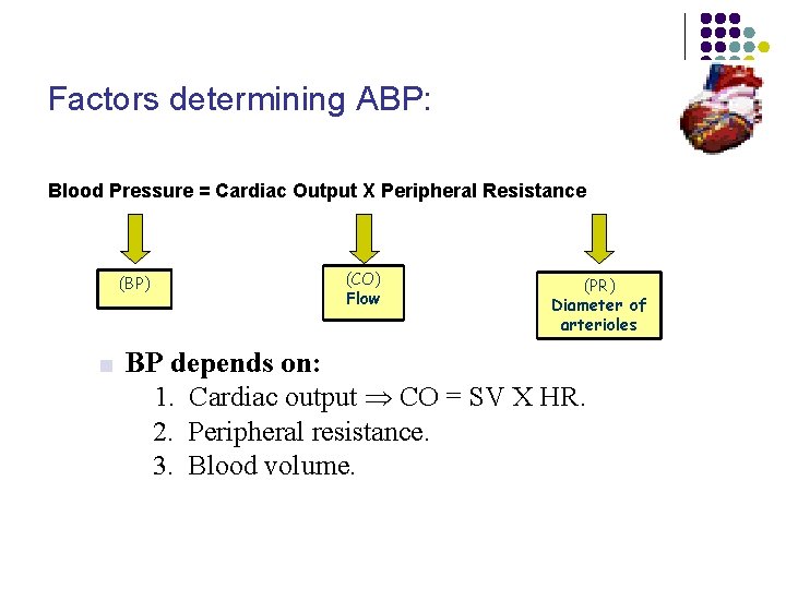 Factors determining ABP: Blood Pressure = Cardiac Output X Peripheral Resistance (CO) Flow (BP)