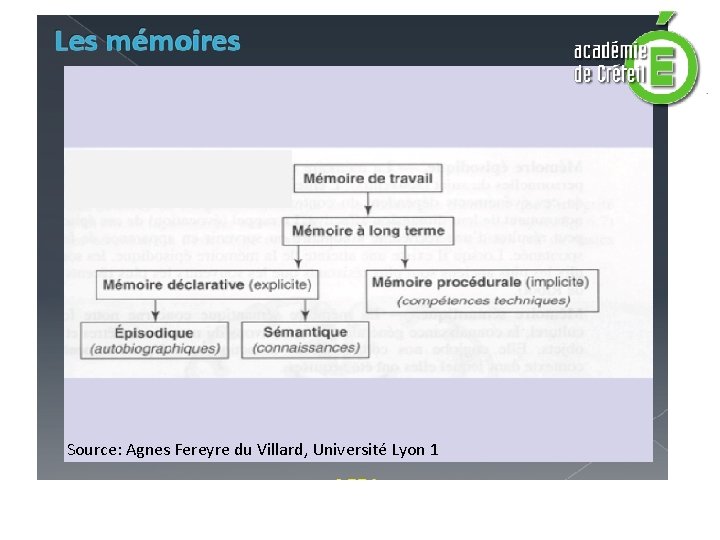 Source: Agnes Fereyre du Villard, Université Lyon 1 