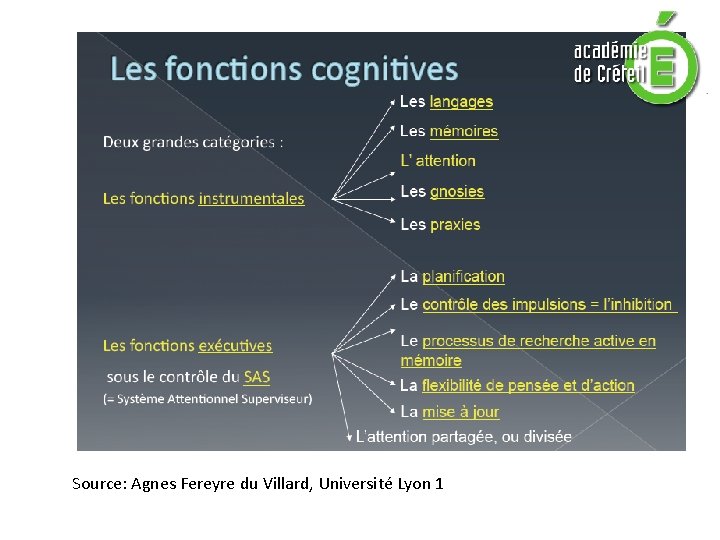 Source: Agnes Fereyre du Villard, Université Lyon 1 
