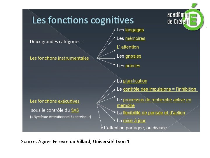 Source: Agnes Fereyre du Villard, Université Lyon 1 Source: Agnes Fereyre du Villard, Université Lyon 1