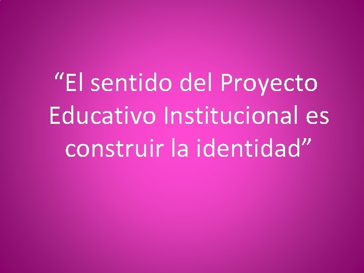 “El sentido del Proyecto Educativo Institucional es construir la identidad” 