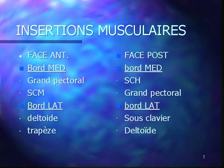 INSERTIONS MUSCULAIRES · n · · n FACE ANT. Bord MED Grand pectoral SCM