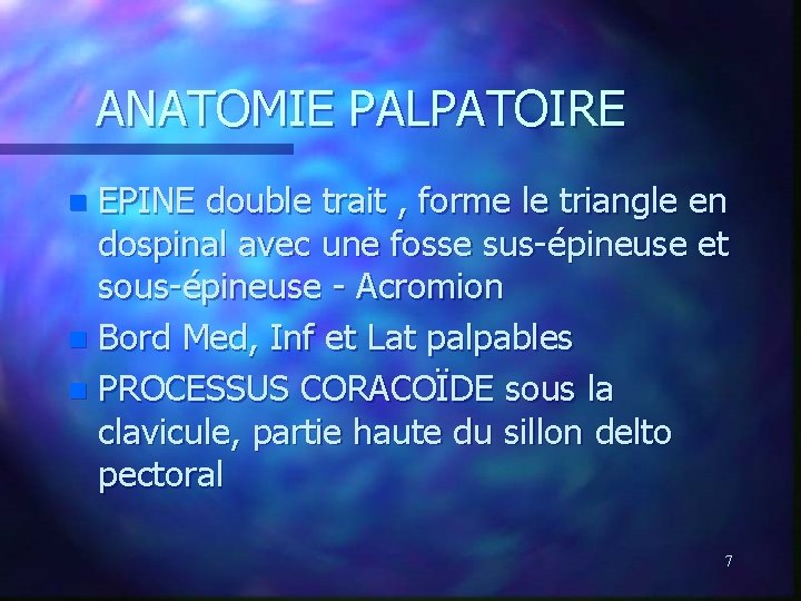 ANATOMIE PALPATOIRE EPINE double trait , forme le triangle en dospinal avec une fosse