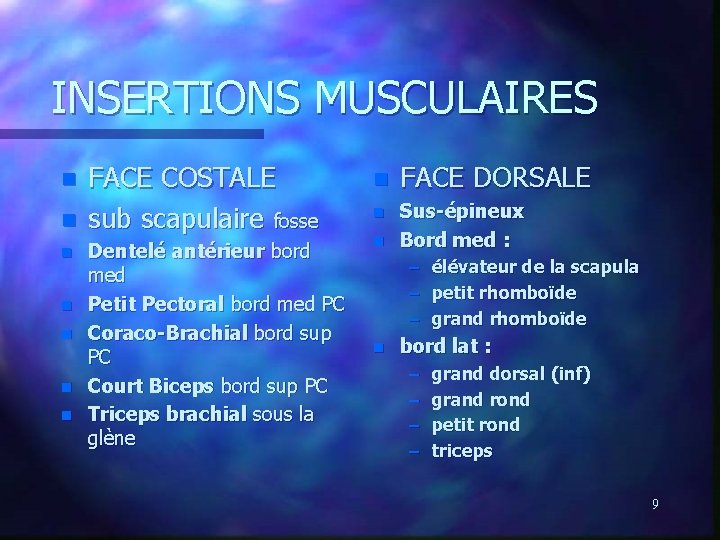 INSERTIONS MUSCULAIRES n n n n FACE COSTALE sub scapulaire fosse Dentelé antérieur bord