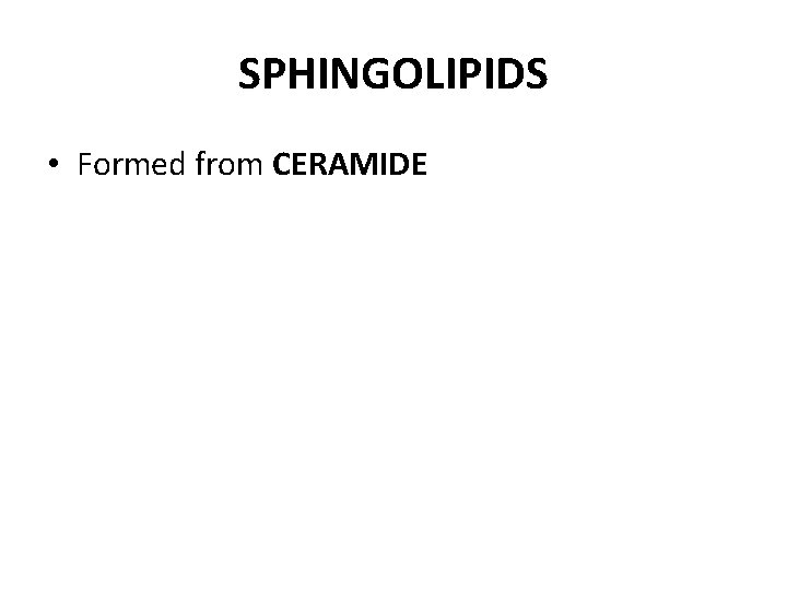 SPHINGOLIPIDS • Formed from CERAMIDE 