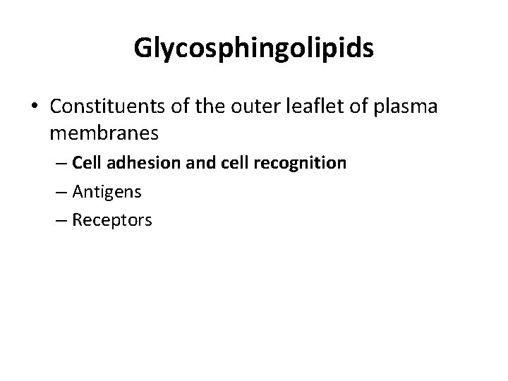 Glycosphingolipids • Constituents of the outer leaflet of plasma membranes – Cell adhesion and
