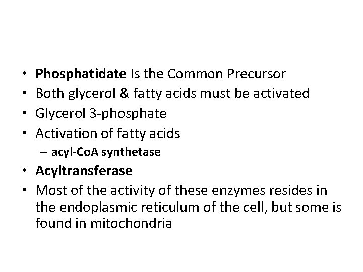  • • Phosphatidate Is the Common Precursor Both glycerol & fatty acids must
