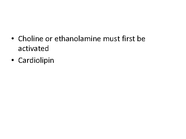  • Choline or ethanolamine must first be activated • Cardiolipin 