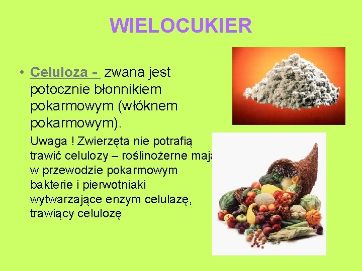 WIELOCUKIER • Celuloza - zwana jest potocznie błonnikiem pokarmowym (włóknem pokarmowym). Uwaga ! Zwierzęta