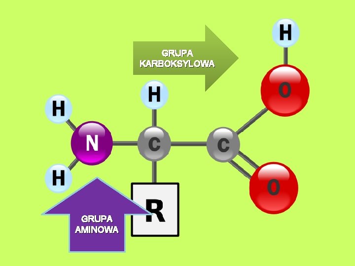 GRUPA KARBOKSYLOWA GRUPA AMINOWA 