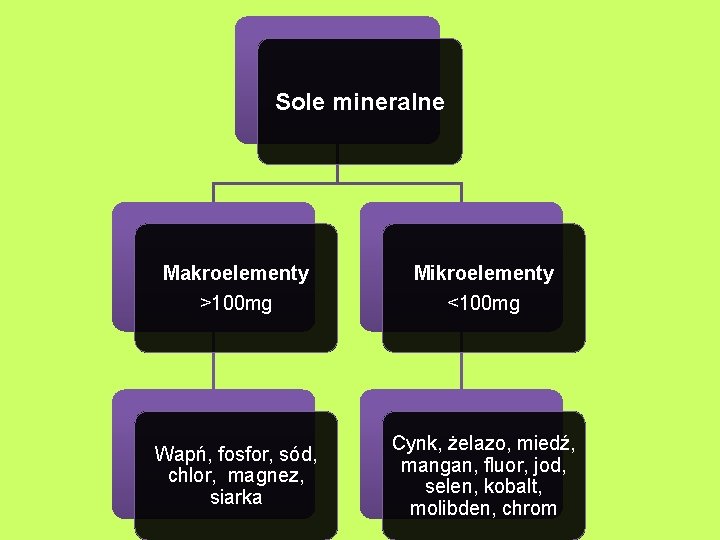 Sole mineralne Makroelementy >100 mg Mikroelementy <100 mg Wapń, fosfor, sód, chlor, magnez, siarka