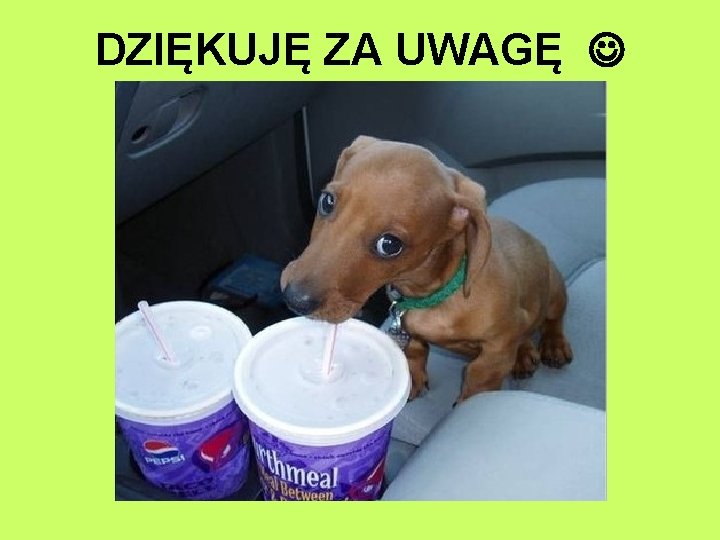 DZIĘKUJĘ ZA UWAGĘ 