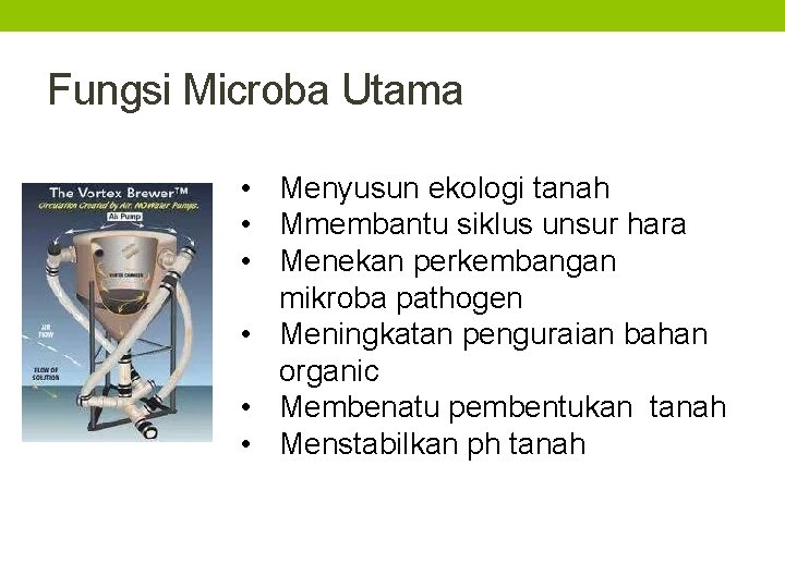 Fungsi Microba Utama • Menyusun ekologi tanah • Mmembantu siklus unsur hara • Menekan