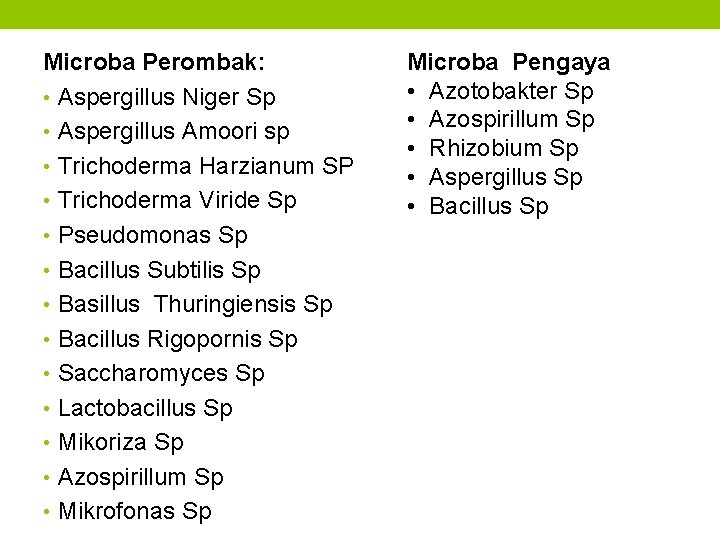 Microba Perombak: • Aspergillus Niger Sp • Aspergillus Amoori sp • Trichoderma Harzianum SP