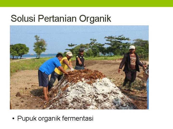 Solusi Pertanian Organik • Pupuk organik fermentasi 