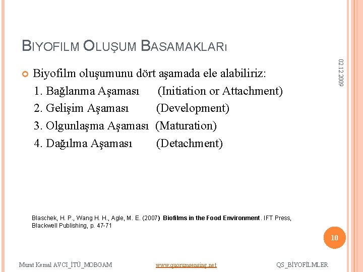 BIYOFILM OLUŞUM BASAMAKLARı Biyofilm oluşumunu dört aşamada ele alabiliriz: 1. Bağlanma Aşaması (Initiation or