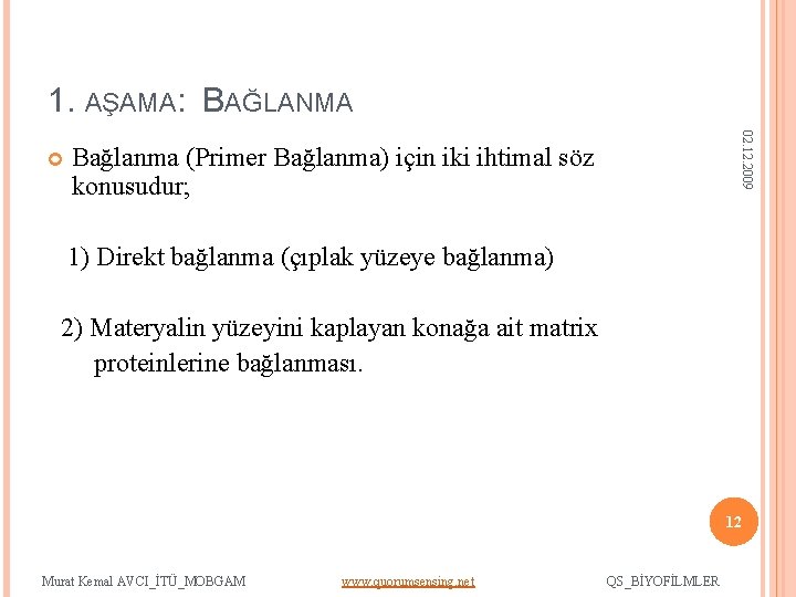 1. AŞAMA: BAĞLANMA 02. 12. 2009 Bağlanma (Primer Bağlanma) için iki ihtimal söz konusudur;