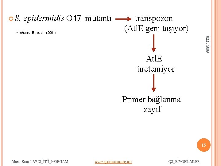  S. epidermidis O 47 mutantı Milohanic, E. , et al. , (2001) transpozon