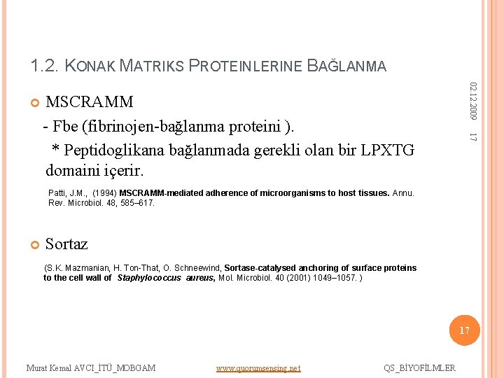 1. 2. KONAK MATRIKS PROTEINLERINE BAĞLANMA 17 MSCRAMM - Fbe (fibrinojen-bağlanma proteini ). *