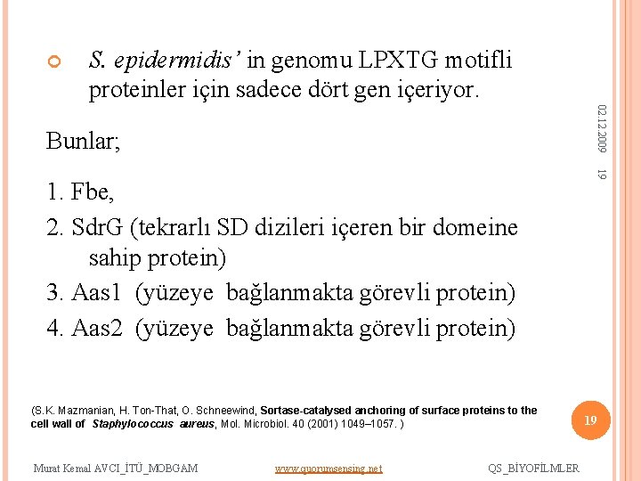  S. epidermidis’ in genomu LPXTG motifli proteinler için sadece dört gen içeriyor. 02.
